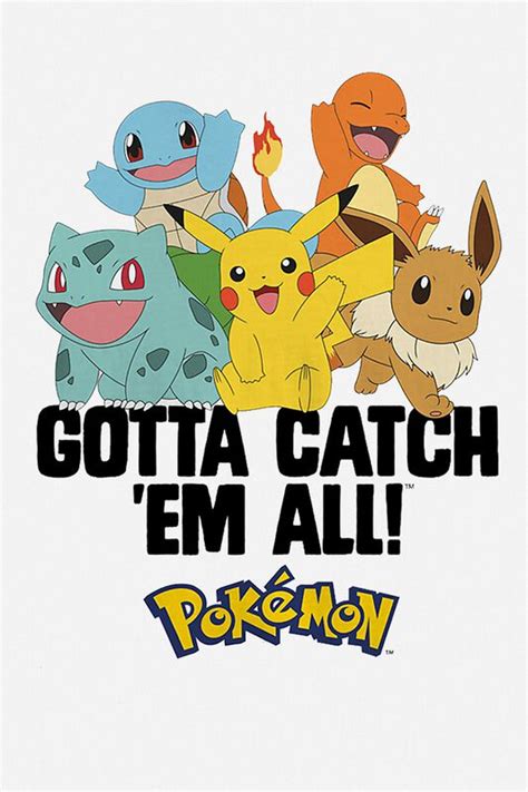 gotta catch them all pokemon